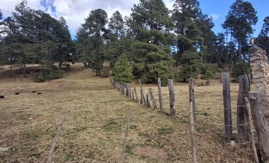 terreno en venta sierra de tapalpa para desarrolladores
