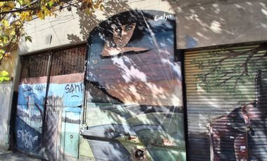 LOTE AVELLANEDA IDEAL DESARROLLO INMOB EXCELENTE