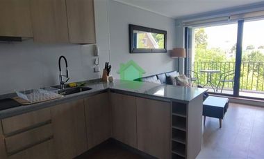 Departamento en Arriendo en Picarte