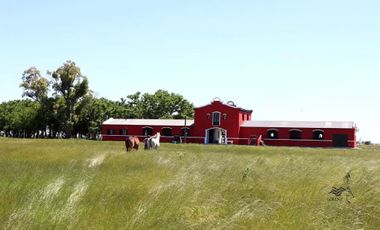 Haras De 30 Has En Coronel Brandsen. Retasado