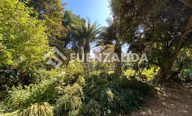 Casa en Arriendo en Oliveto