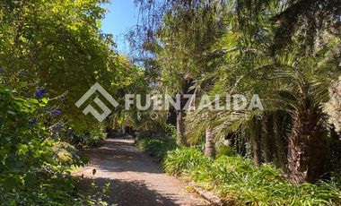 Parcela en Arriendo en Oliveto