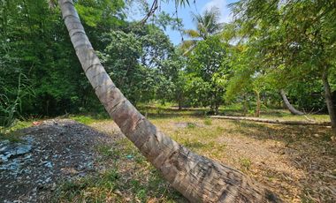 TERRENO EN VENTA FRENTE AL ESTERO DE JUANA MOZA