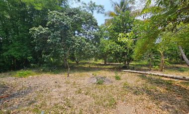 TERRENO EN VENTA FRENTE AL ESTERO DE JUANA MOZA