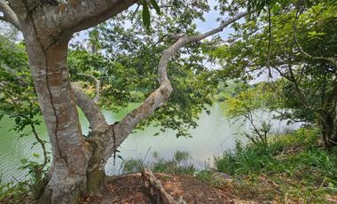 TERRENO EN VENTA FRENTE AL ESTERO DE JUANA MOZA