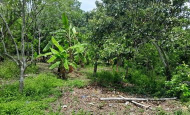 TERRENO EN VENTA FRENTE AL ESTERO DE JUANA MOZA