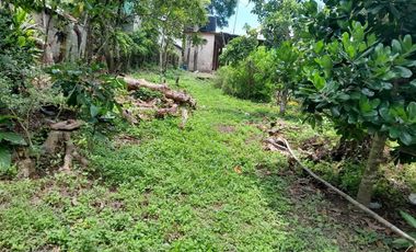 TERRENO EN VENTA FRENTE AL ESTERO DE JUANA MOZA