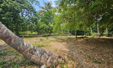 TERRENO EN VENTA FRENTE AL ESTERO DE JUANA MOZA