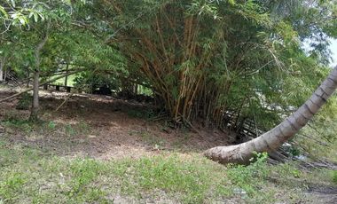 TERRENO EN VENTA FRENTE AL ESTERO DE JUANA MOZA