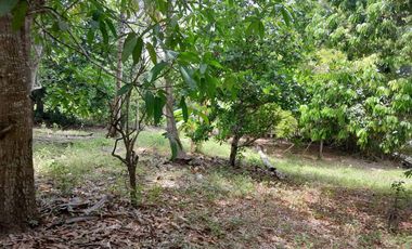 TERRENO EN VENTA FRENTE AL ESTERO DE JUANA MOZA