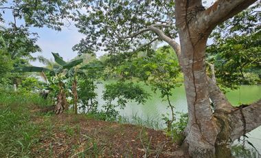 TERRENO EN VENTA FRENTE AL ESTERO DE JUANA MOZA