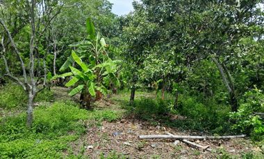 TERRENO EN VENTA FRENTE AL ESTERO DE JUANA MOZA