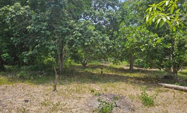 TERRENO EN VENTA FRENTE AL ESTERO DE JUANA MOZA