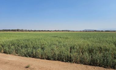 VENTA DE TERRENO EN LOS CERRITROS, TEQUISQUIAPAN