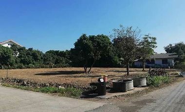 Land for sale in Buak Khang, Chiang Mai