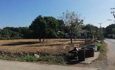 Land for sale in Buak Khang, Chiang Mai