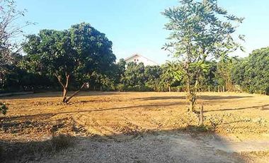 Land for sale in Buak Khang, Chiang Mai