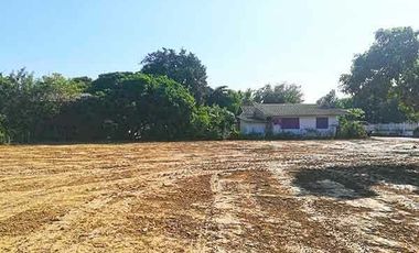 Land for sale in Buak Khang, Chiang Mai