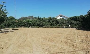Land for sale in Buak Khang, Chiang Mai