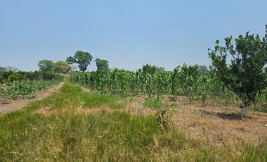 TERRENO EN ZONA ESTRATEGICA AGROINDUSTRIAL TUXPAN VERACRUZ
