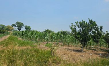 TERRENO EN ZONA ESTRATEGICA AGROINDUSTRIAL TUXPAN VERACRUZ