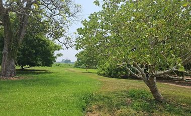 TERRENO EN ZONA ESTRATEGICA AGROINDUSTRIAL TUXPAN VERACRUZ