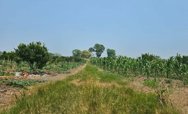 TERRENO EN ZONA ESTRATEGICA AGROINDUSTRIAL TUXPAN VERACRUZ