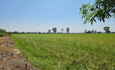 VENTA DE TERRENO INDUSTRIAL CON EXCELETE UBICACION