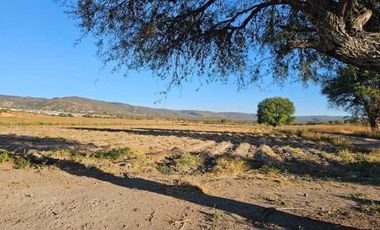RENTA DE TERRENO AGRICOLA SAN JUAN DEL RIO