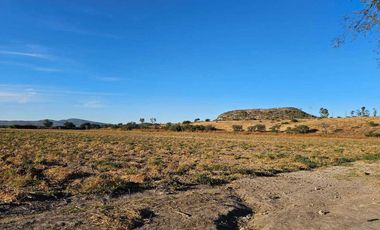 RENTA DE TERRENO AGRICOLA SAN JUAN DEL RIO