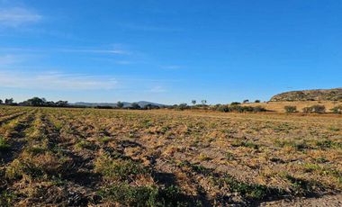 RENTA DE TERRENO AGRICOLA SAN JUAN DEL RIO