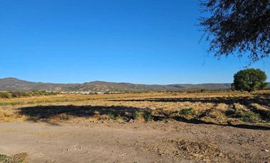 RENTA DE TERRENO AGRICOLA SAN JUAN DEL RIO
