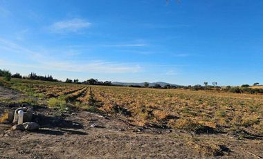RENTA DE TERRENO AGRICOLA SAN JUAN DEL RIO
