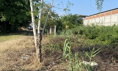 Terreno en renta a 8 minutos de la playa