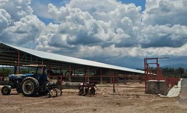 RANCHO EN VENTA  AGROINDUSTRIAL EN TEQUISQUIAPAN