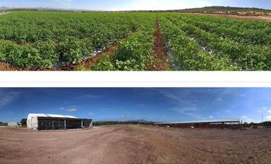 RANCHO EN VENTA  AGROINDUSTRIAL EN TEQUISQUIAPAN