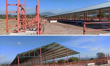 RANCHO EN VENTA  AGROINDUSTRIAL EN TEQUISQUIAPAN