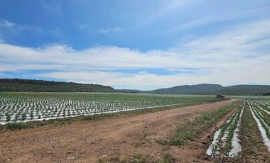 RANCHO EN VENTA  AGROINDUSTRIAL EN TEQUISQUIAPAN