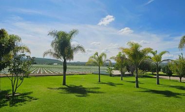 RANCHO EN VENTA  AGROINDUSTRIAL EN TEQUISQUIAPAN