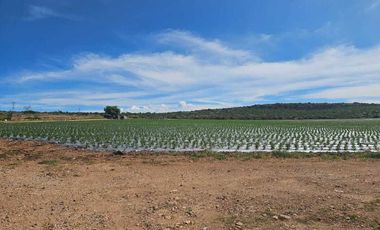 RANCHO EN VENTA  AGROINDUSTRIAL EN TEQUISQUIAPAN