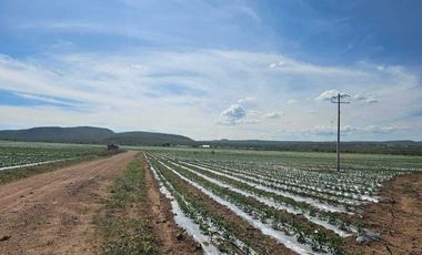 RANCHO EN VENTA  AGROINDUSTRIAL EN TEQUISQUIAPAN