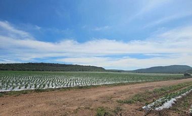 RANCHO EN VENTA  AGROINDUSTRIAL EN TEQUISQUIAPAN