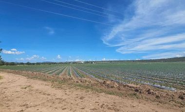 RANCHO EN VENTA  AGROINDUSTRIAL EN TEQUISQUIAPAN