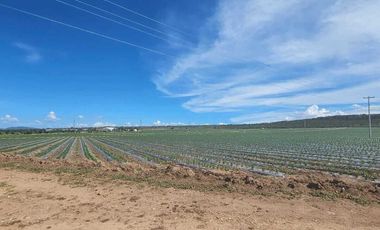 RANCHO EN VENTA  AGROINDUSTRIAL EN TEQUISQUIAPAN