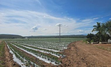 RANCHO EN VENTA  AGROINDUSTRIAL EN TEQUISQUIAPAN