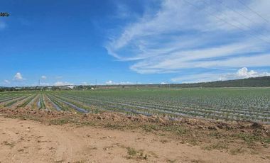 RANCHO EN VENTA  AGROINDUSTRIAL EN TEQUISQUIAPAN