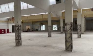 Bodega     Renta   Churubusco     3,500 m2