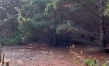 Oportunidad terreno en Laguna Verde