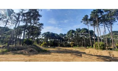 Hermoso lote en venta en Barrio Bosques de Pinamar