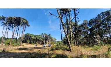 Hermoso lote en venta en Barrio Bosques de Pinamar